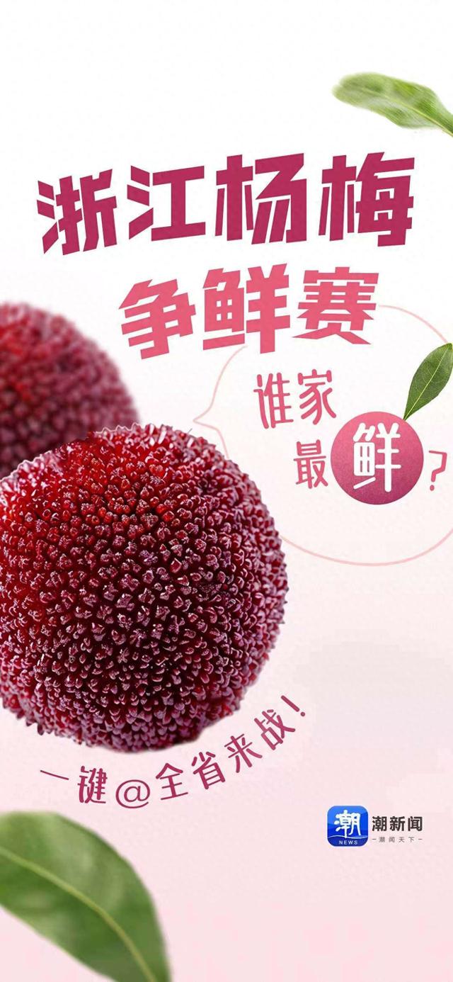 浙江杨梅争鲜赛：谁家最“鲜”？一键@全省来战！