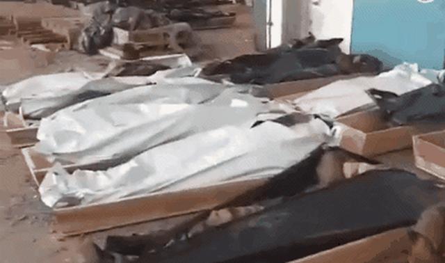 1212具乌军遗体
运抵，乌高官：库尔斯克精锐归来，被装在裹尸袋里