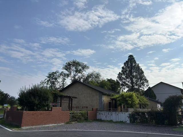 百万粉丝博主回村开面包店，首个周末接待百余位客人，回应：给自己造梦，打算开到退休