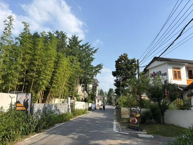 百万粉丝博主回村开面包店，首个周末接待百余位客人，回应：给自己造梦，打算开到退休