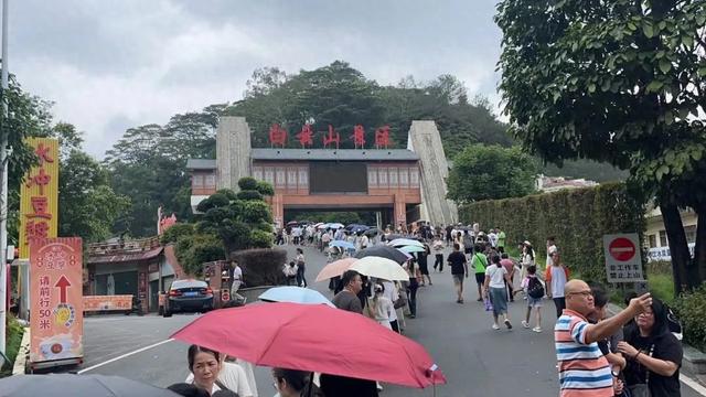 网红博主连吃3顿梧州河粉，感叹了11次“薄”！