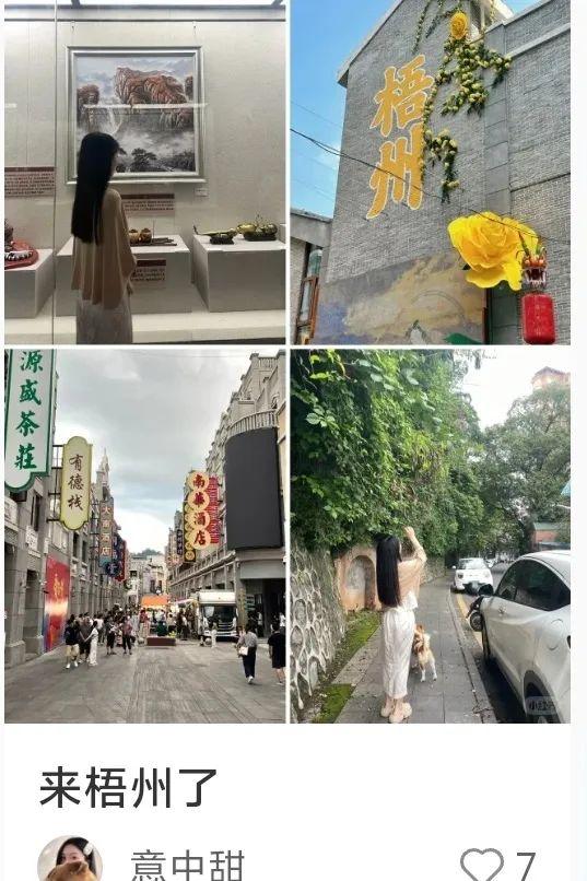 网红博主连吃3顿梧州河粉，感叹了11次“薄”！