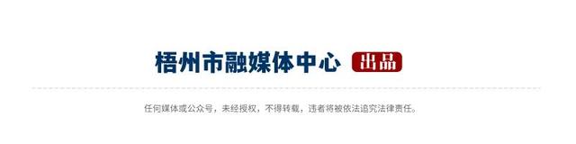 网红博主连吃3顿梧州河粉，感叹了11次“薄”！