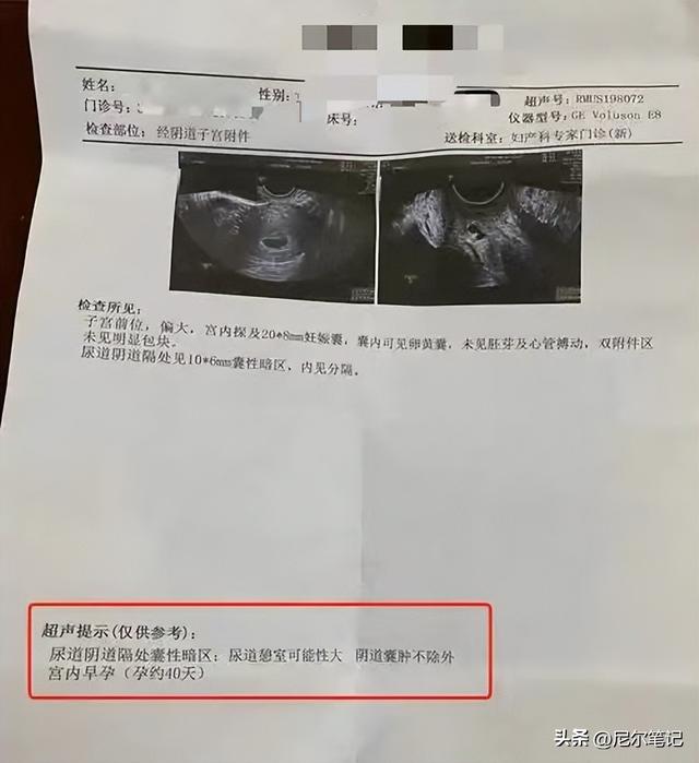 女子半年嫁5次骗彩礼190万！背后有专业团伙，爸妈、亲戚全是演员
