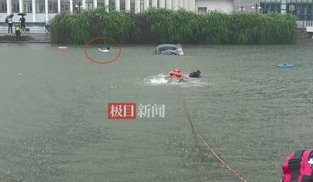 夫君乘网约车面试，被女司机连人带车送进湖里，夫君登陆喊道“我要面试”，消防员一边救人一边举着接单手机