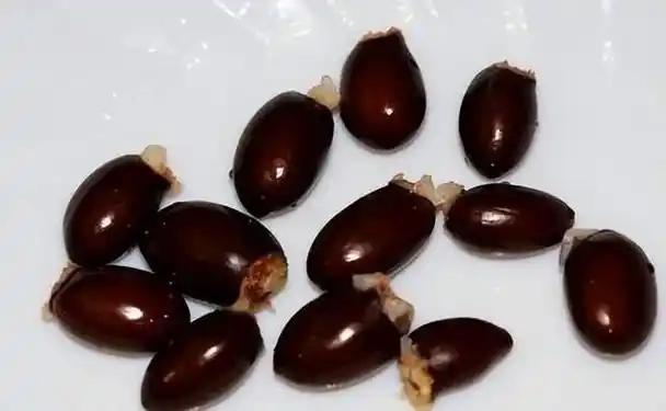 荔枝再次成为关注

对象！医生提醒：吃荔枝时，要多注意这5点！
