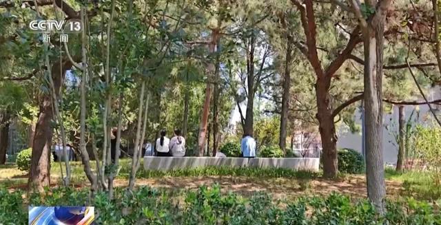北京警方：10名犯罪

嫌疑人已被依法刑拘！