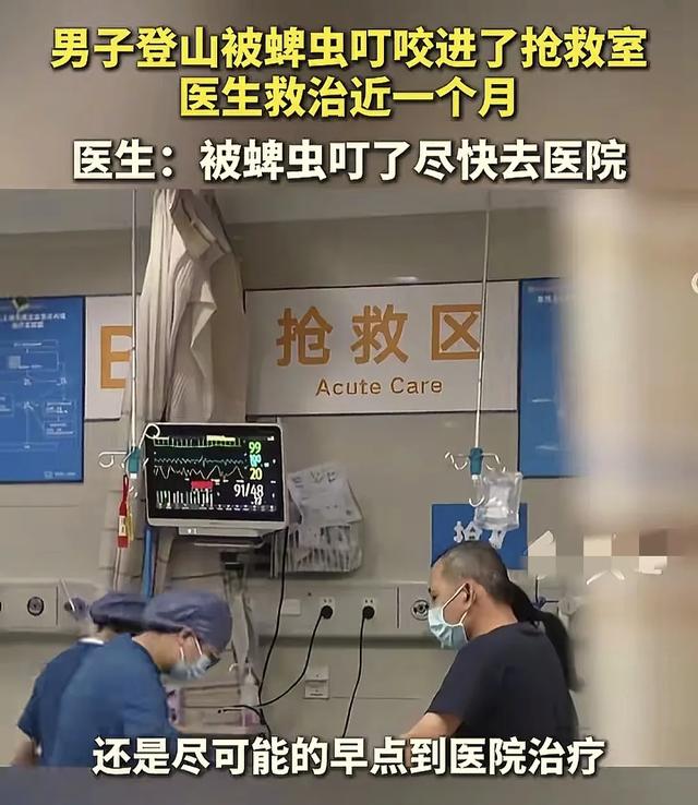 孩子脖子惊现蜱虫，妈妈“两谢绝
”救了娃，年夜
夫：记着三点可救命