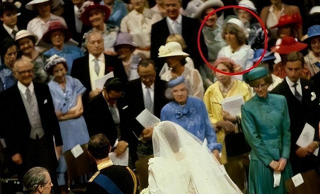 英国80岁白叟
临终前爆料：戴安娜王妃并非车祸离世，实在早有预谋