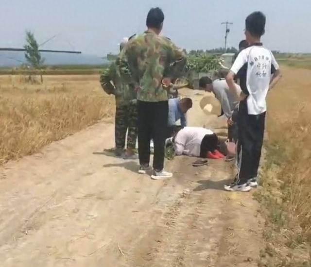 农夫太难了，27岁男子收小麦触电身亡，两个孩子老年夜
5岁老二1岁