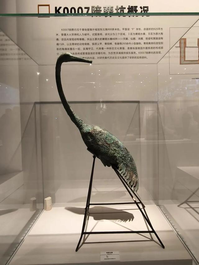 司马迁果然没瞎扯
，秦始皇陵再勘察
时，考古队挖出两只铜鹤