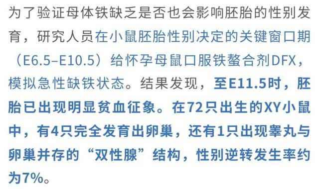 父染色体决议
孩子性别被冲破?母孕期铁元素缺少
能让儿子变女儿