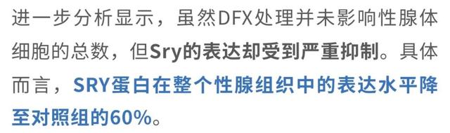 父染色体决议
孩子性别被冲破?母孕期铁元素缺少
能让儿子变女儿