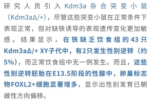 父染色体决议
孩子性别被冲破?母孕期铁元素缺少
能让儿子变女儿