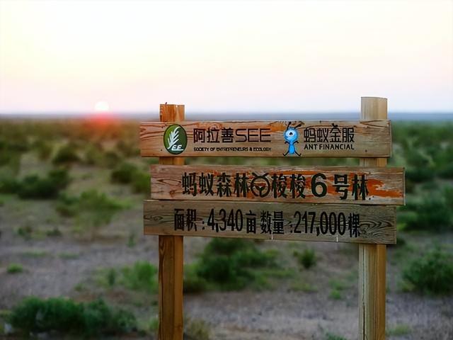独立
百年的“蒙古国”，正在悄悄毁失踪

中国人40年的积极