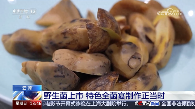 云南野生菌上市吸引旅客
居

平易近
来尝鲜 交易市场迎来小高峰