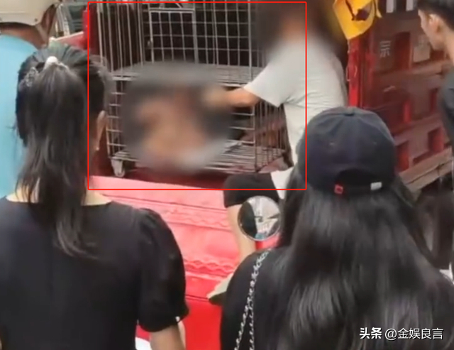 多名赤裸幼童被关铁笼，目击者拦截

报警，父亲：自行爬入并非强制