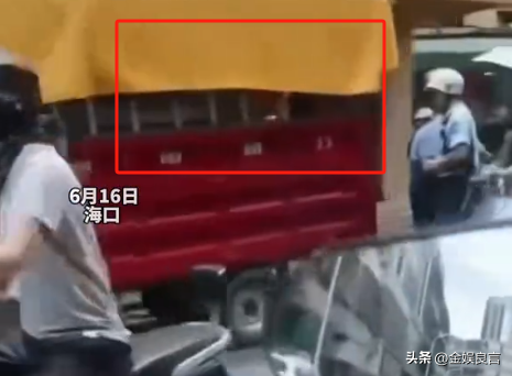 多名赤裸幼童被关铁笼，目击者拦截

报警，父亲：自行爬入并非强制