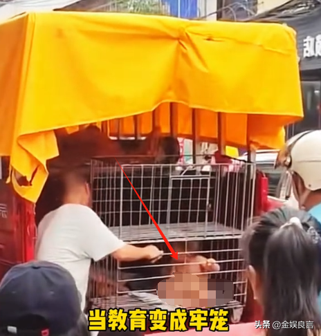 多名赤裸幼童被关铁笼，目击者拦截

报警，父亲：自行爬入并非强制