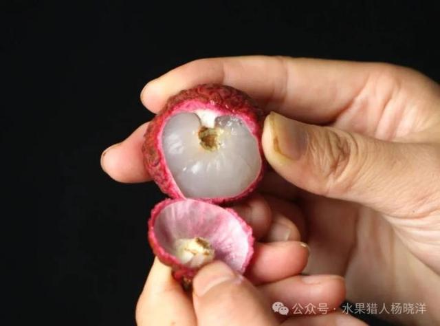 “原来
我不绝在吃荔枝虫子？”本日很多人不淡定了！专家回应