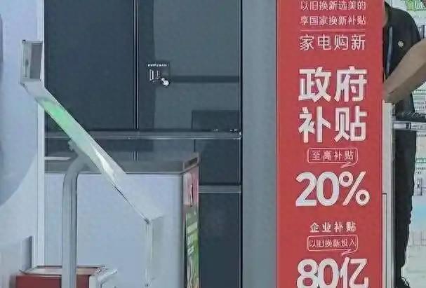 多地告急叫停国补，万亿补助
肥了谁？背后黑手被揪出，年夜
快民气