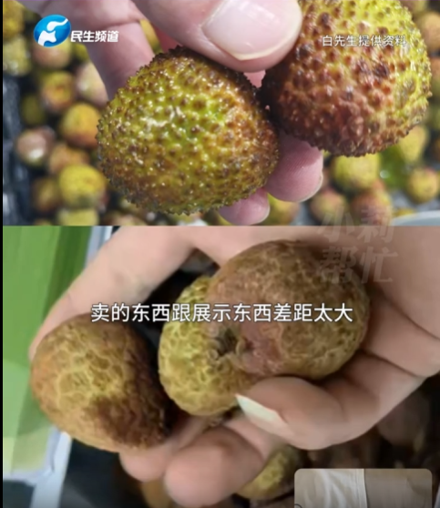 8岁小孩网购26箱荔枝，开箱后父亲傻眼，网友：什么荔枝这么贵？