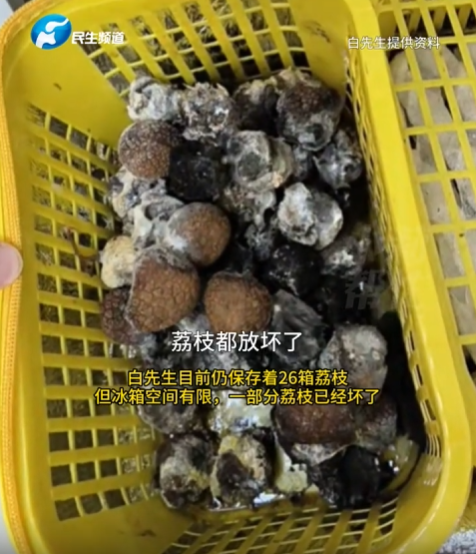 8岁小孩网购26箱荔枝，开箱后父亲傻眼，网友：什么荔枝这么贵？