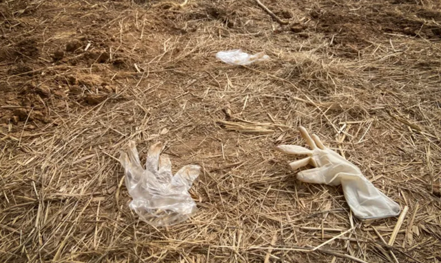 最高人民查察院亮剑了！邯郸初中生被害埋尸案正犯被判无期，34名低龄重罪未成年人被批准追诉依法重办！