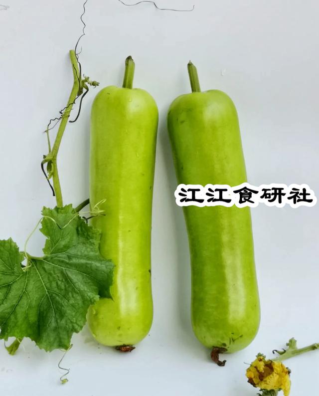 六月，这瓜使劲吃，一清热，二润肺，三明目，简单一炒鲜美开胃！