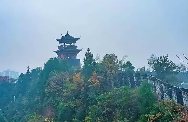 龙泉山掉
联外子
已找到！被曝逝世
状惨烈，最后画面曝光，逝世
因很蹊跷