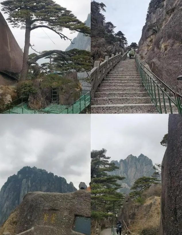 龙泉山掉
联外子
已找到！被曝逝世
状惨烈，最后画面曝光，逝世
因很蹊跷