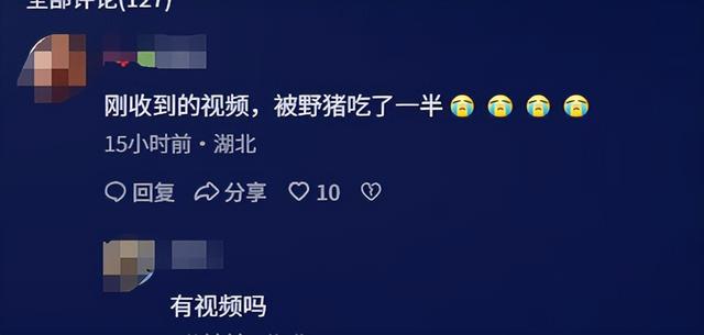 龙泉山掉
联外子
已找到！被曝逝世
状惨烈，最后画面曝光，逝世
因很蹊跷