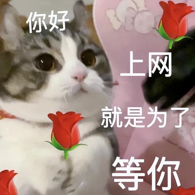 1TB顶配+8.8小屏旗舰！红米此次
发布会，猛得离谱