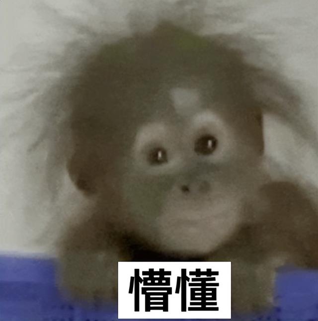 1TB顶配+8.8小屏旗舰！红米此次
发布会，猛得离谱