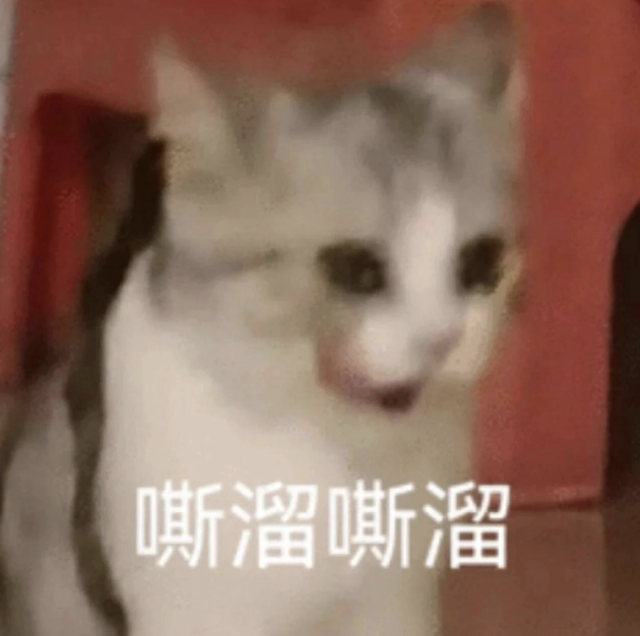1TB顶配+8.8小屏旗舰！红米此次
发布会，猛得离谱