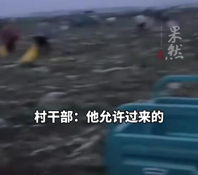 安徽500亩土豆遭哄抢后续：损掉
100万斤，警方通报，村夷易近
回应起因