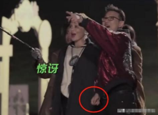 冲上热搜！汪峰宁悄悄牵手庆生，撕碎章子怡最背体面，丛林北更惨