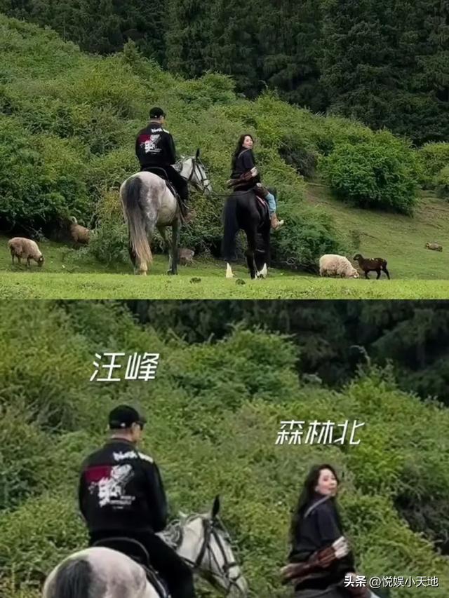 丛林北表态了！删光与汪峰有关视频，晒多张童年照，她妈妈超等美