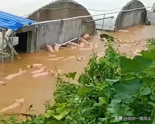 怀集哄抢事件后续：几千元现金被顺走，老板怒发四问，本地人发声