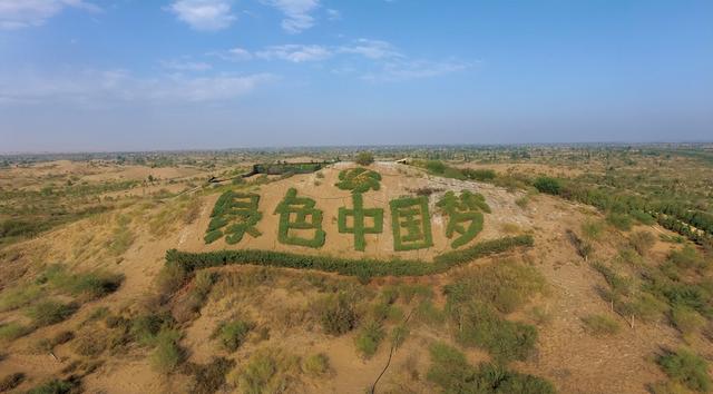 一起走好，短短5天已有5位名流传来噩耗，有人被古树砸中不测去世