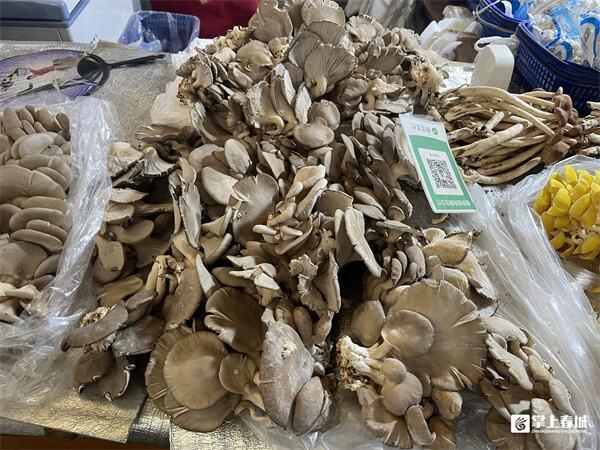 昆明野生菌上市雨季催生“亲民价”！ 附东华菜市场逛吃攻略