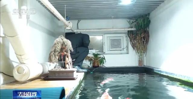 北京一男子将地下室改成大年夜

鱼池！楼上邻居长期失落

眠，被锦鲤“整疯”……