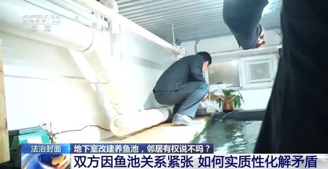 北京一男子将地下室改成大年夜

鱼池！楼上邻居长期失落

眠，被锦鲤“整疯”……