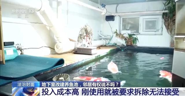 北京一男子将地下室改成大年夜

鱼池！楼上邻居长期失落

眠，被锦鲤“整疯”……