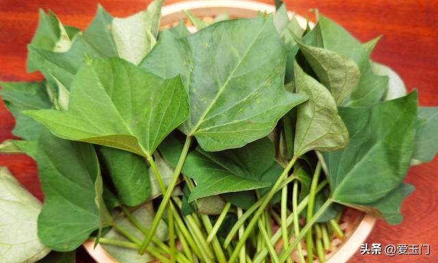 炎天，这4种青菜是“催屎之王”，女人要常吃，肠道顺畅，身段棒
