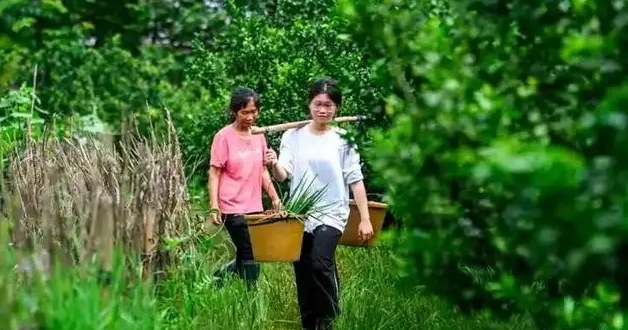 国度
出手！“扁担女孩”账号被警方处罚，行政拘留10天，缘故原由曝光