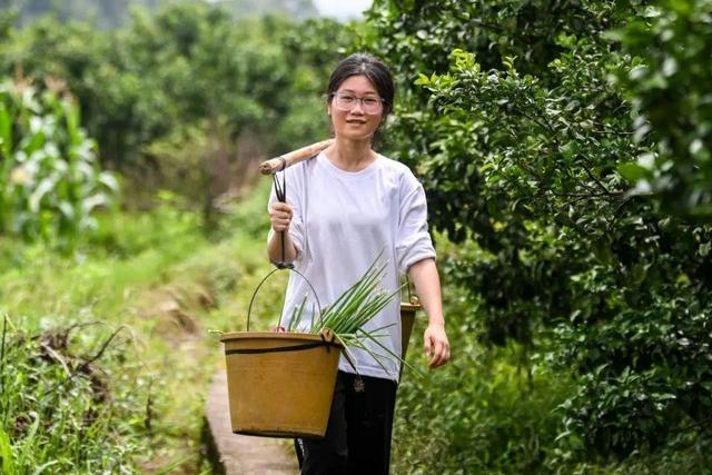 国度
出手！“扁担女孩”账号被警方处罚，行政拘留10天，缘故原由曝光