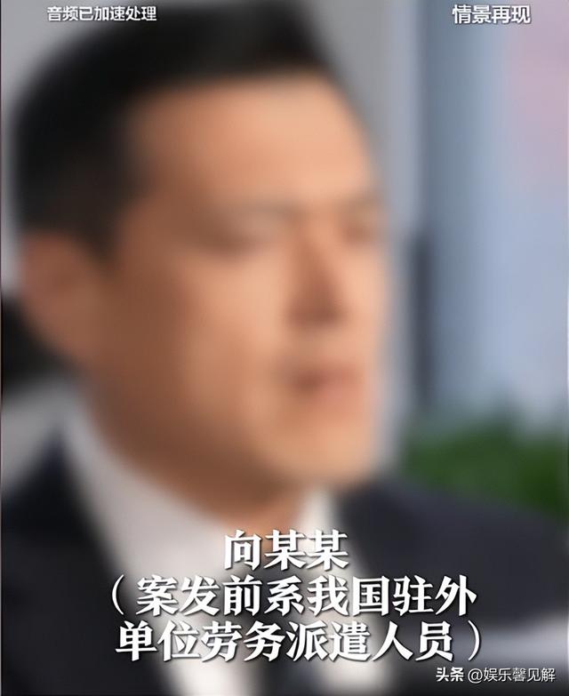又一间谍案破获！央视曝光，主动投靠

只为抨击，原因令人意外