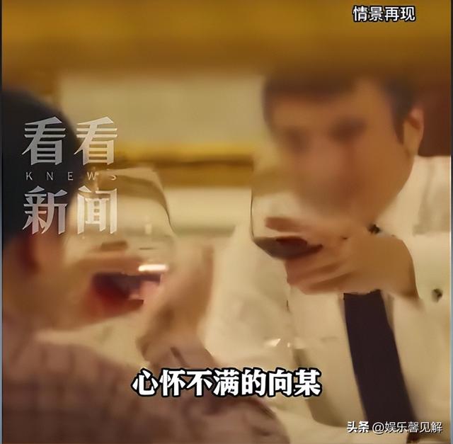 又一间谍案破获！央视曝光，主动投靠

只为抨击，原因令人意外